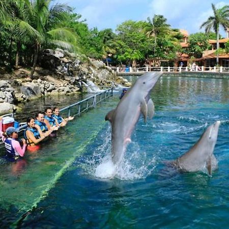 Increible Estudio En Puerto Aventuras, Condominio Con Alberca # 201 Zewnętrze zdjęcie